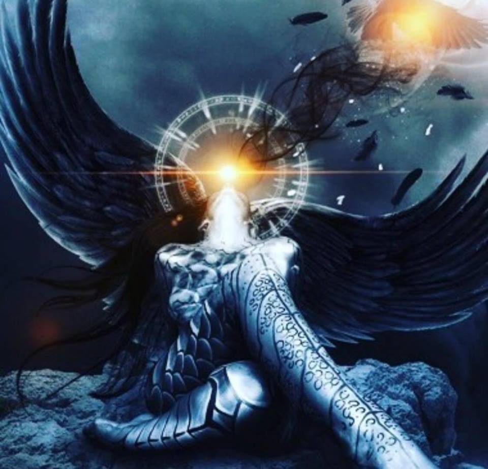 angelic-genetics angelic-genetics