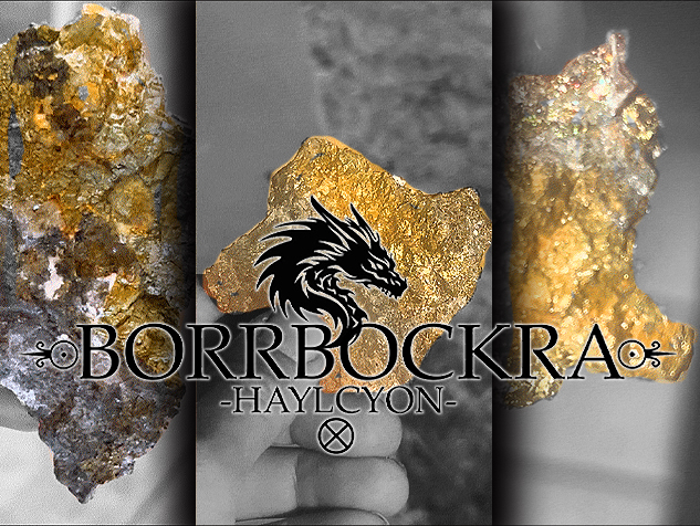 BORRBOCKRA WEBSITE -BLACK GOLD LOGO PROMO-